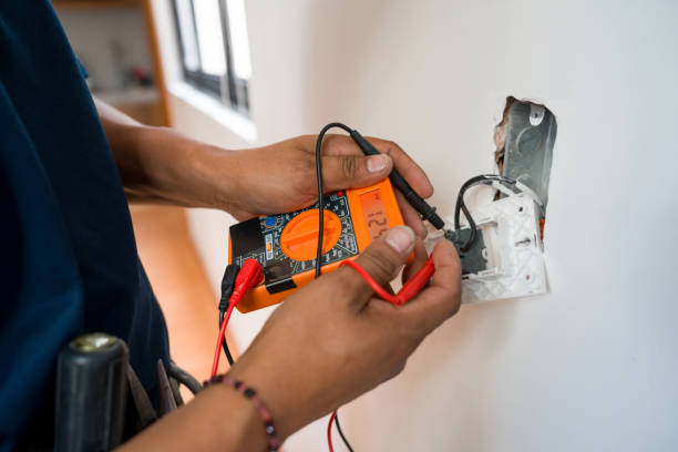 Best Affordable Electrician  in Reed City, MI