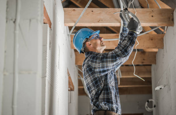 Best Home Electrical Repair  in Reed City, MI