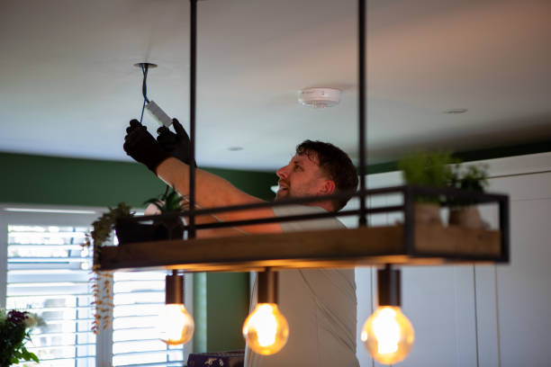Best Residential Electrician Services  in Reed City, MI