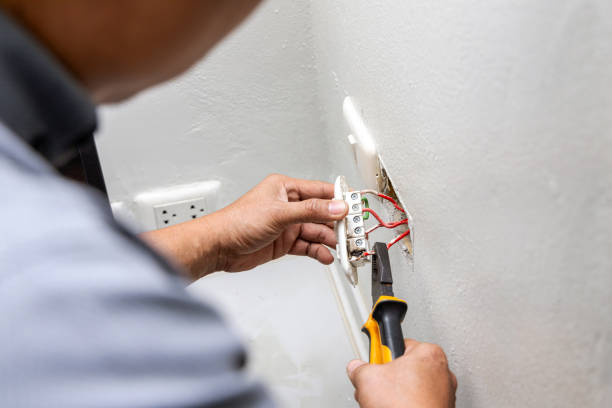Best Licensed Electrician  in Reed City, MI