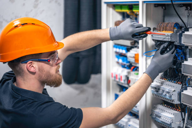 Best Electrical Repair Services  in Reed City, MI
