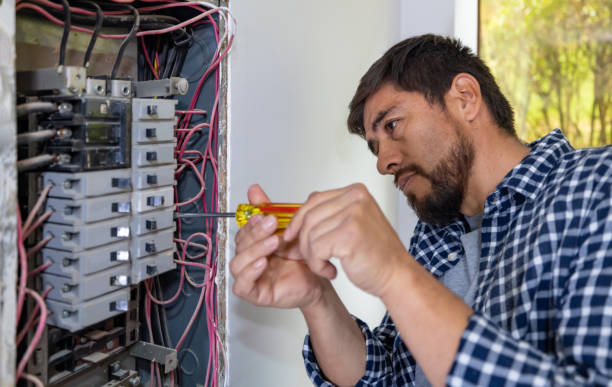 Best Electric Panel Repair  in Reed City, MI